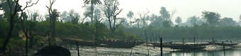 About oil spills